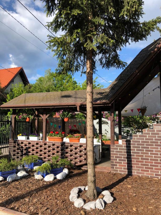 Szumi Las Bed & Breakfast Józefów Eksteriør bilde