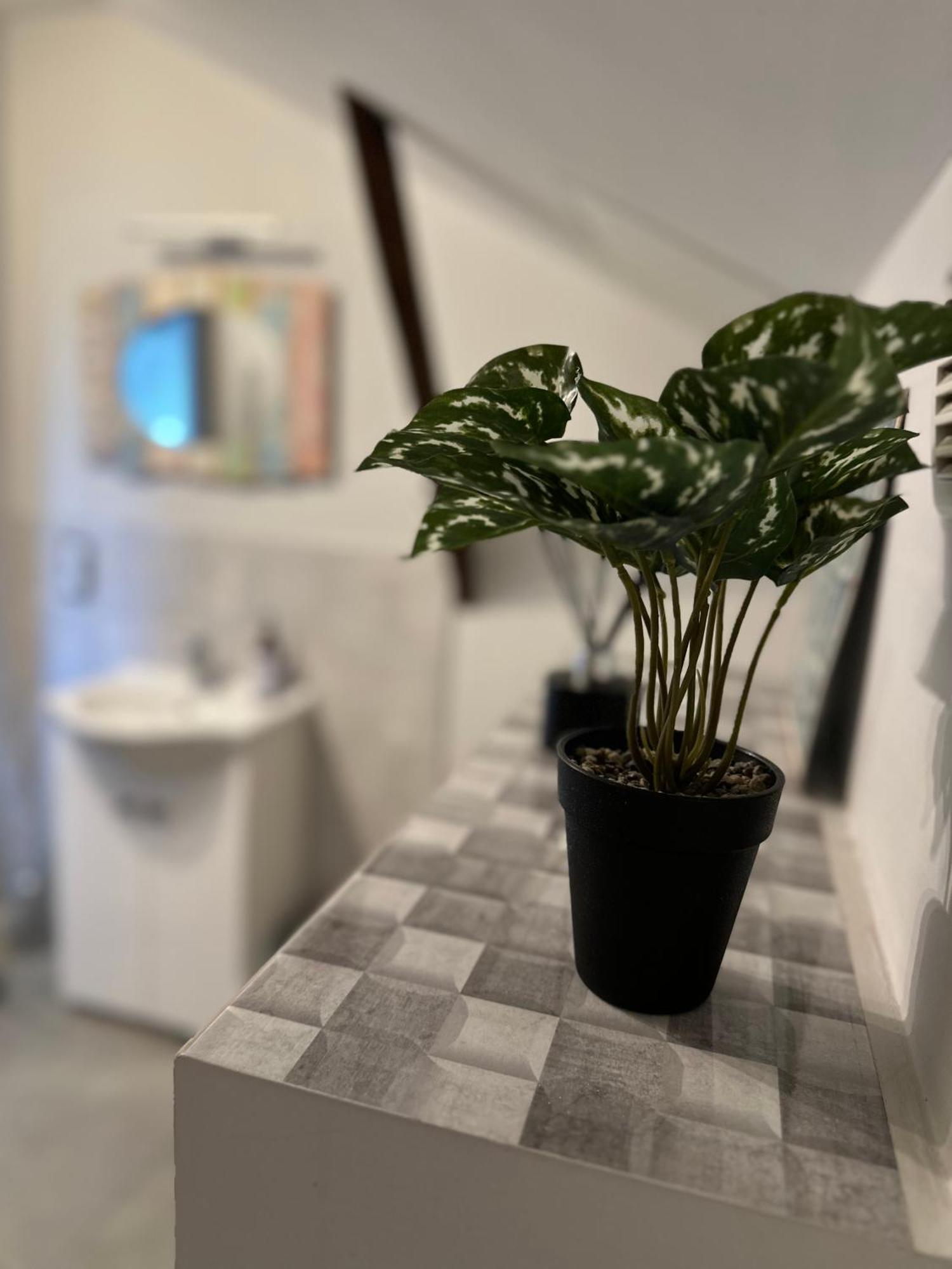 Szumi Las Bed & Breakfast Józefów Eksteriør bilde