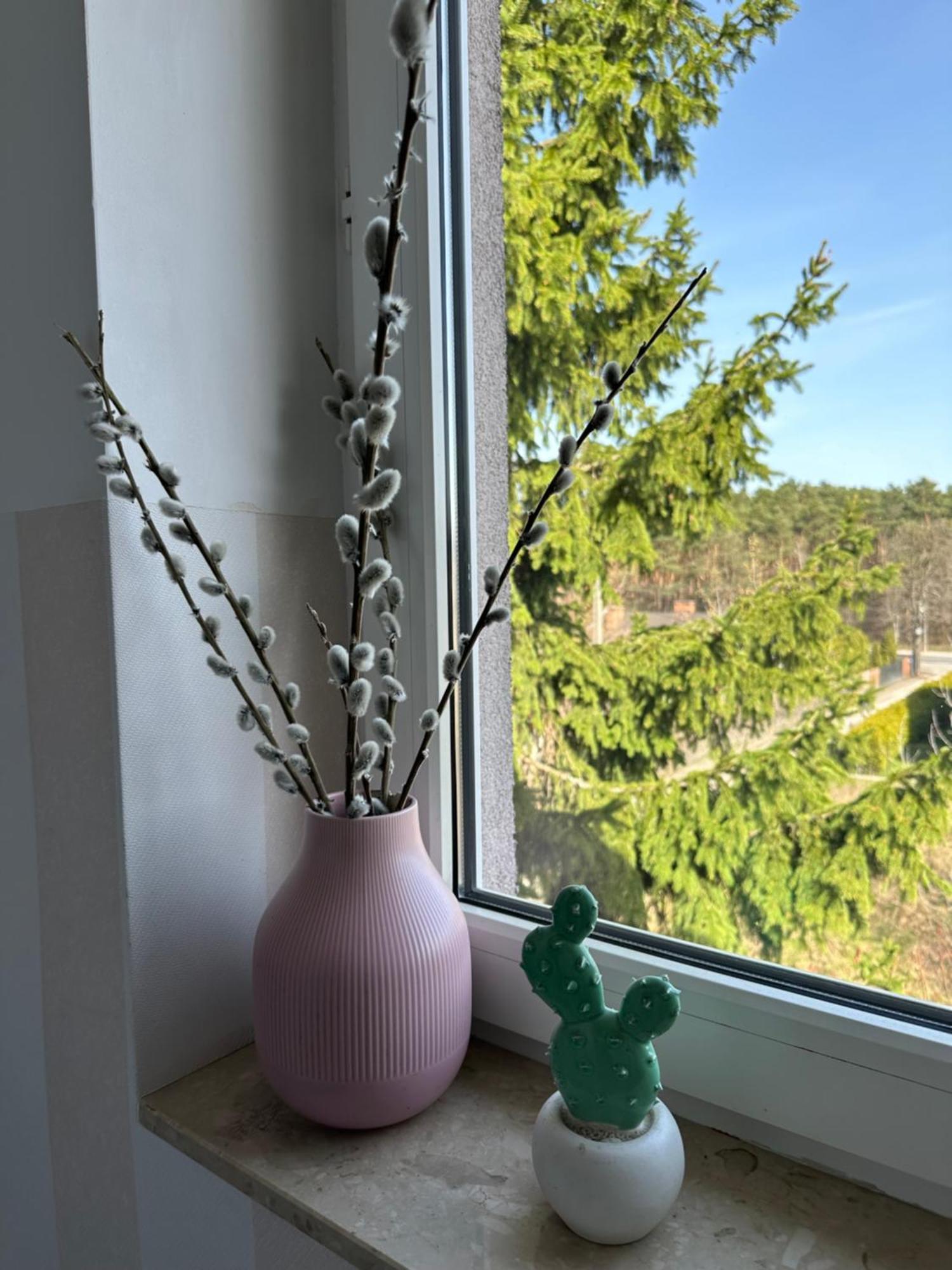 Szumi Las Bed & Breakfast Józefów Eksteriør bilde
