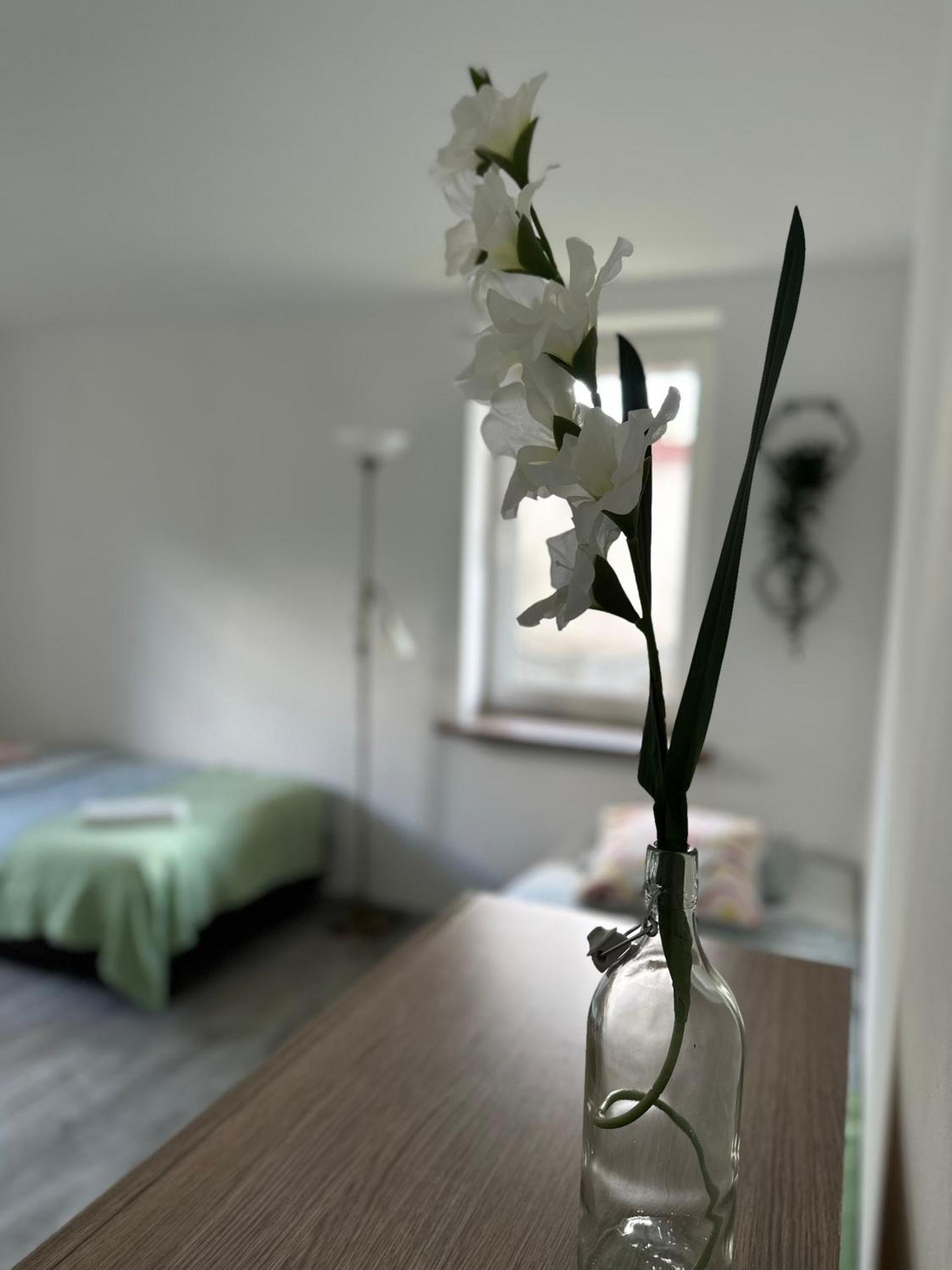 Szumi Las Bed & Breakfast Józefów Eksteriør bilde